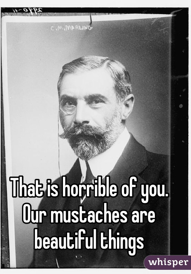 That is horrible of you. Our mustaches are beautiful things