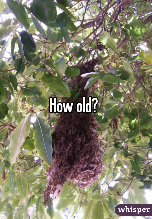 How old? 
