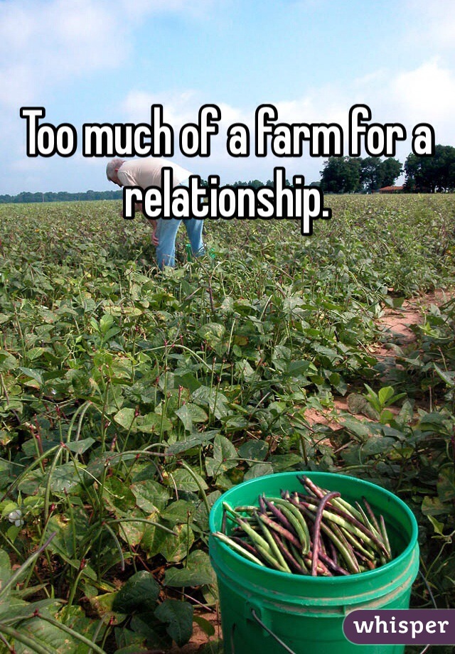 Too much of a farm for a relationship. 
