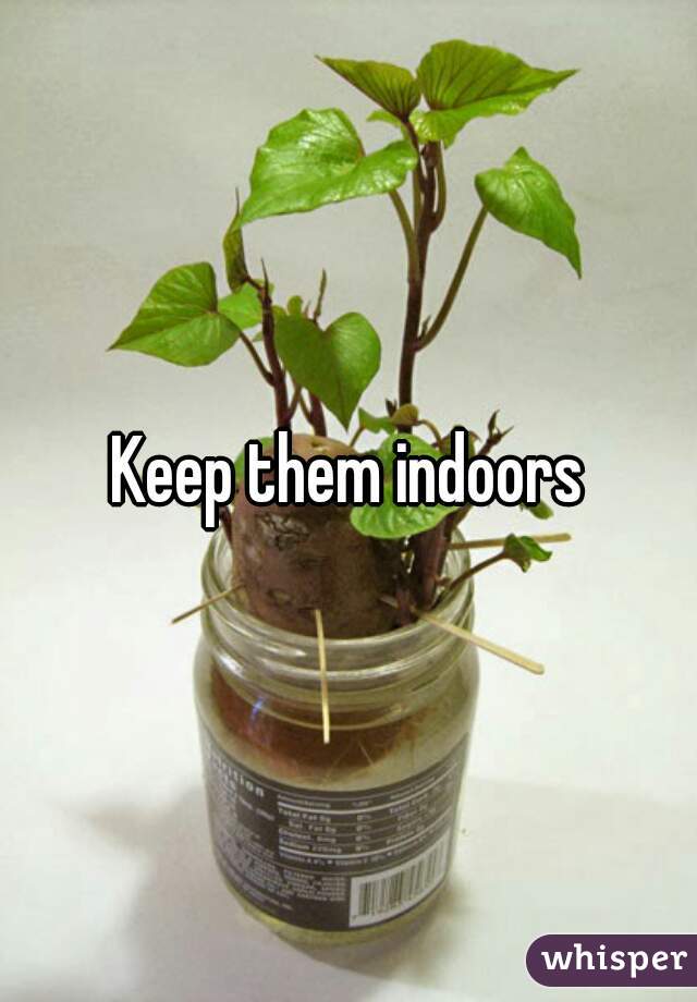 Keep them indoors