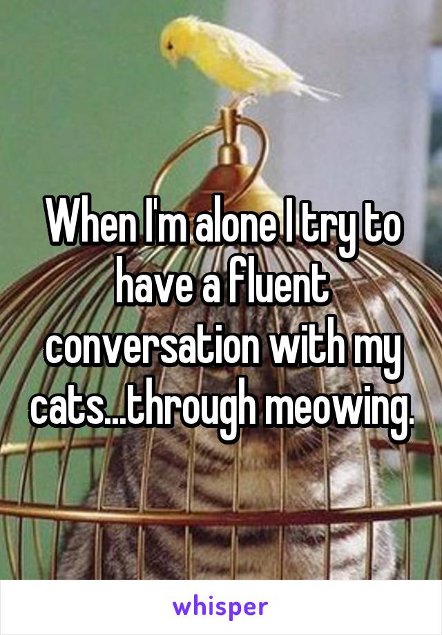 When I'm alone I try to have a fluent conversation with my cats...through meowing.