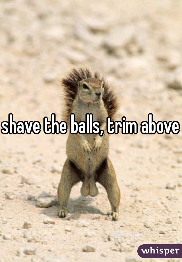 shave the balls, trim above
