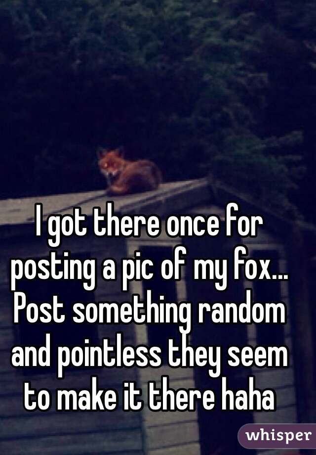 I got there once for posting a pic of my fox... Post something random and pointless they seem to make it there haha