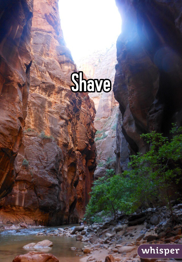 Shave 