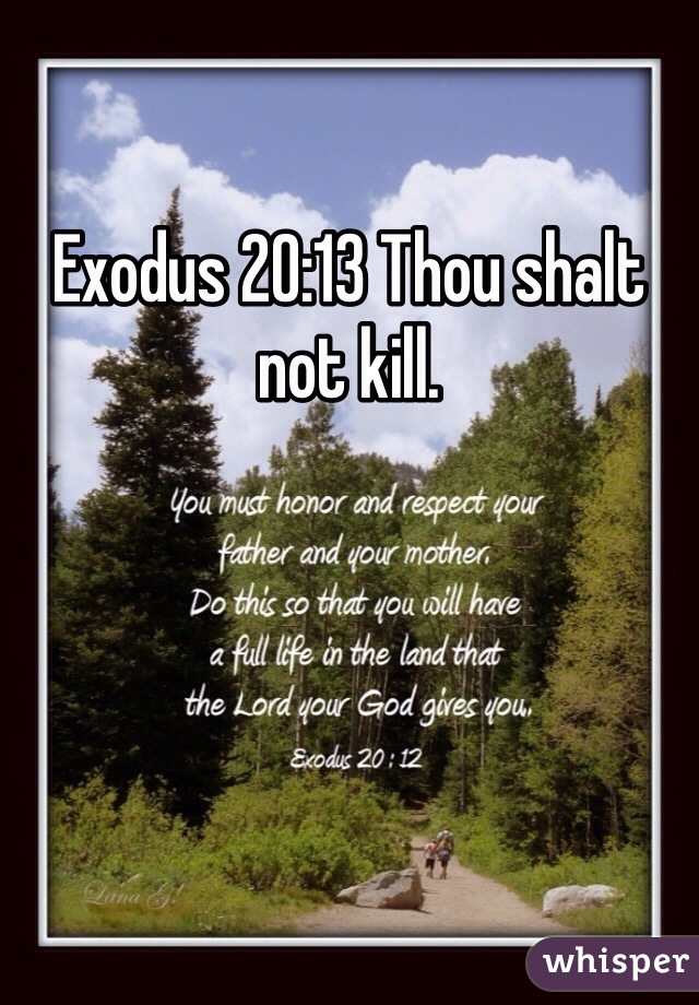 Exodus 20:13 Thou shalt not kill.