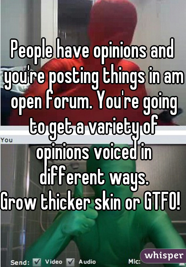 People have opinions and you're posting things in am open forum. You're going to get a variety of opinions voiced in different ways.

Grow thicker skin or GTFO!  