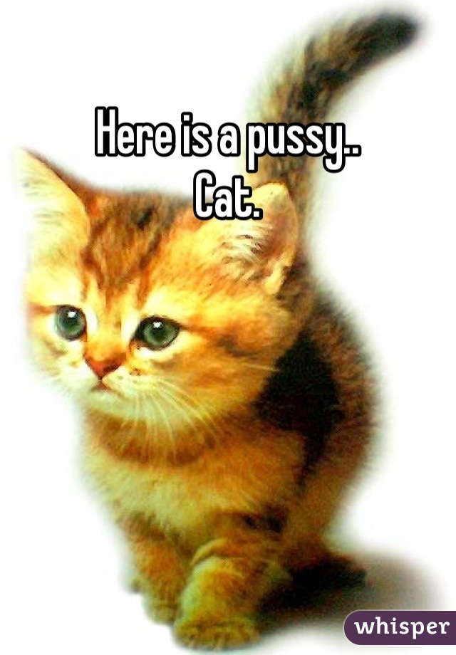 Here is a pussy..
Cat.