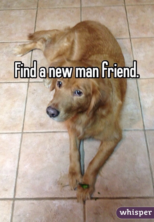 Find a new man friend. 
