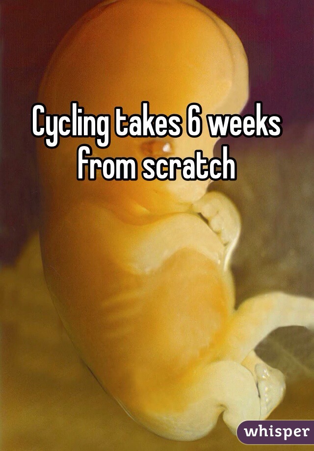 Cycling takes 6 weeks from scratch 