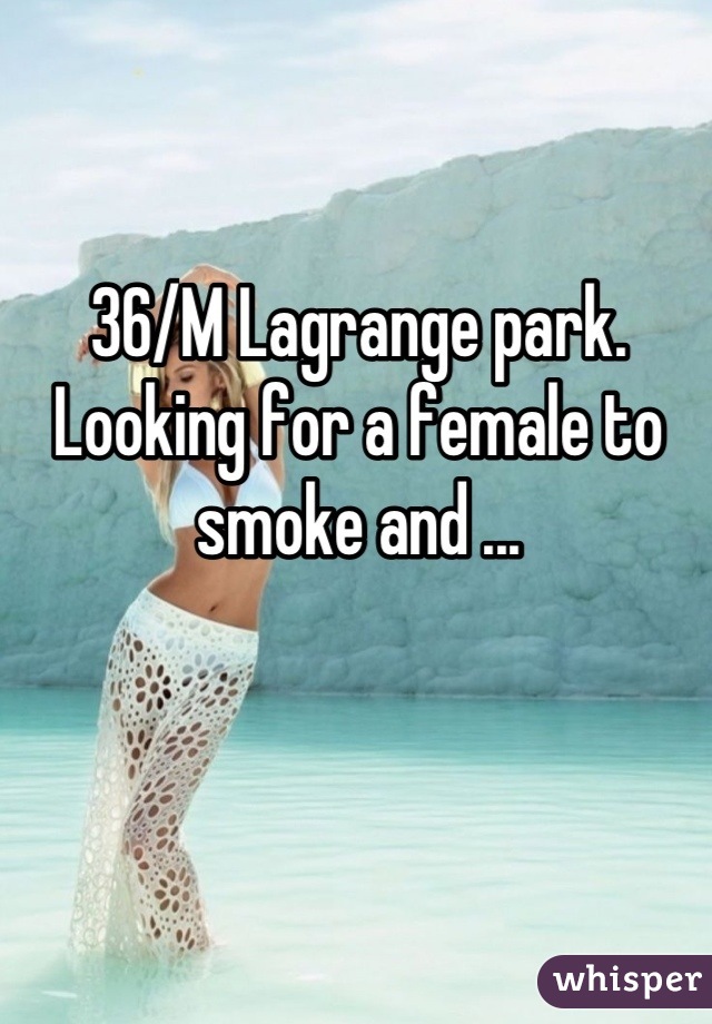 36/M Lagrange park. Looking for a female to smoke and ...