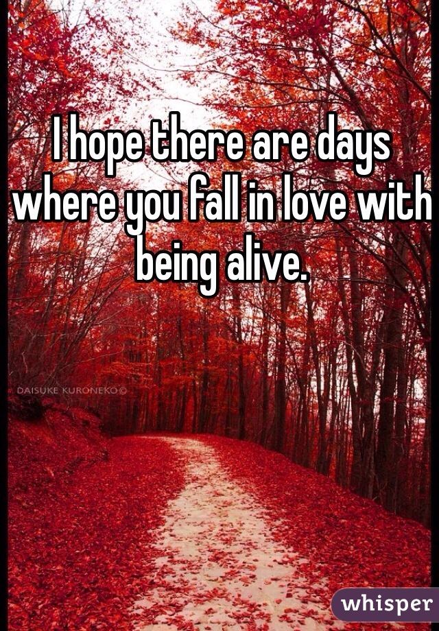 I hope there are days where you fall in love with being alive. 