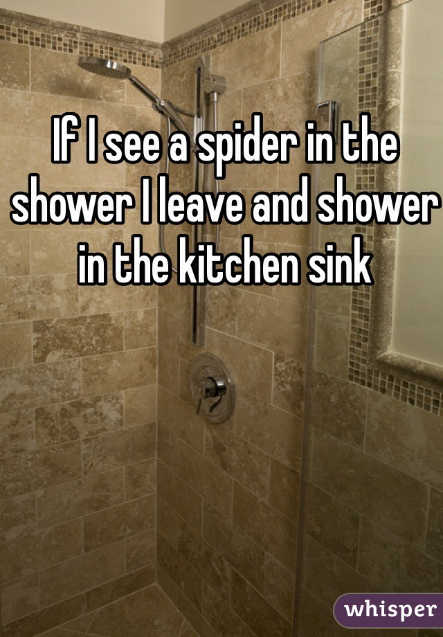 If I see a spider in the shower I leave and shower in the kitchen sink 