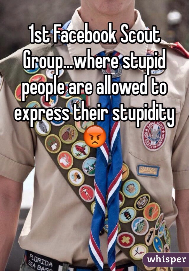 1st Facebook Scout Group...where stupid people are allowed to express their stupidity 😡