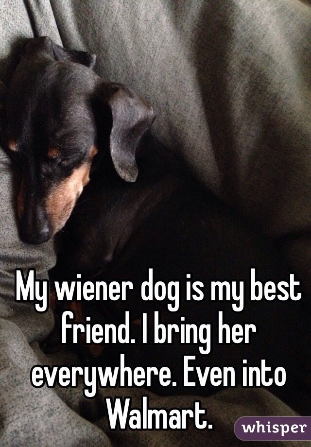 My wiener dog is my best friend. I bring her everywhere. Even into Walmart. 
