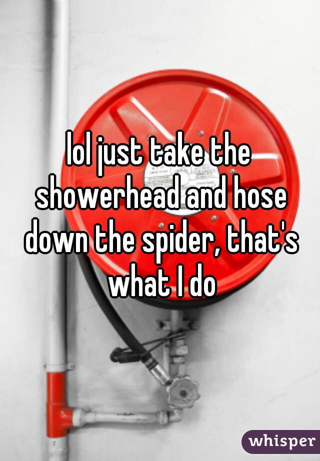 lol just take the showerhead and hose down the spider, that's what I do
