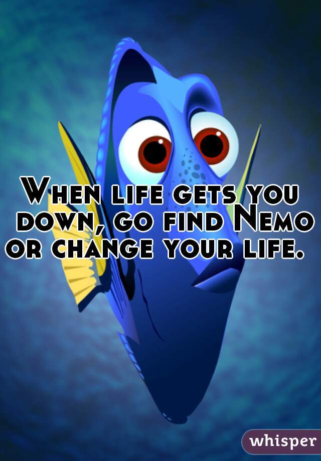When life gets you down, go find Nemo or change your life.  