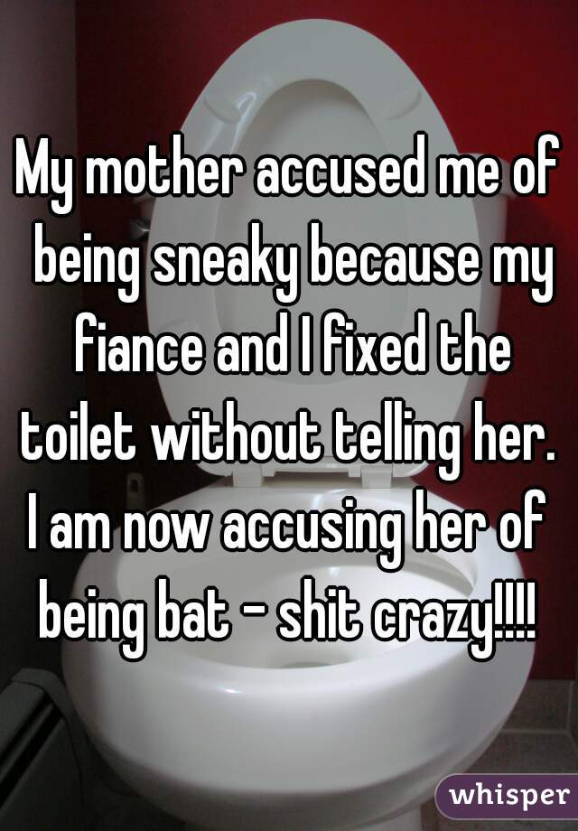 My mother accused me of being sneaky because my fiance and I fixed the toilet without telling her. 
I am now accusing her of being bat - shit crazy!!!! 