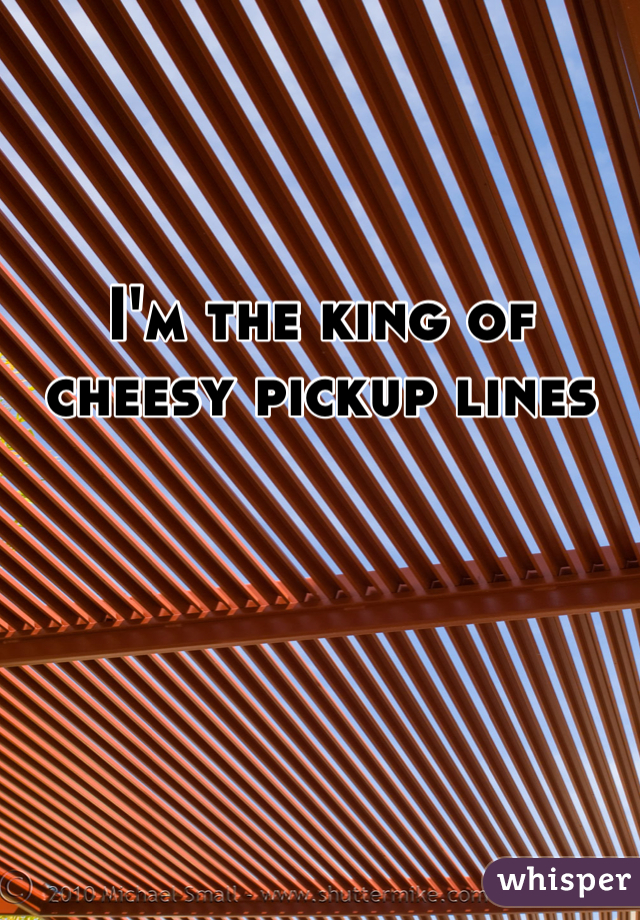 I'm the king of cheesy pickup lines