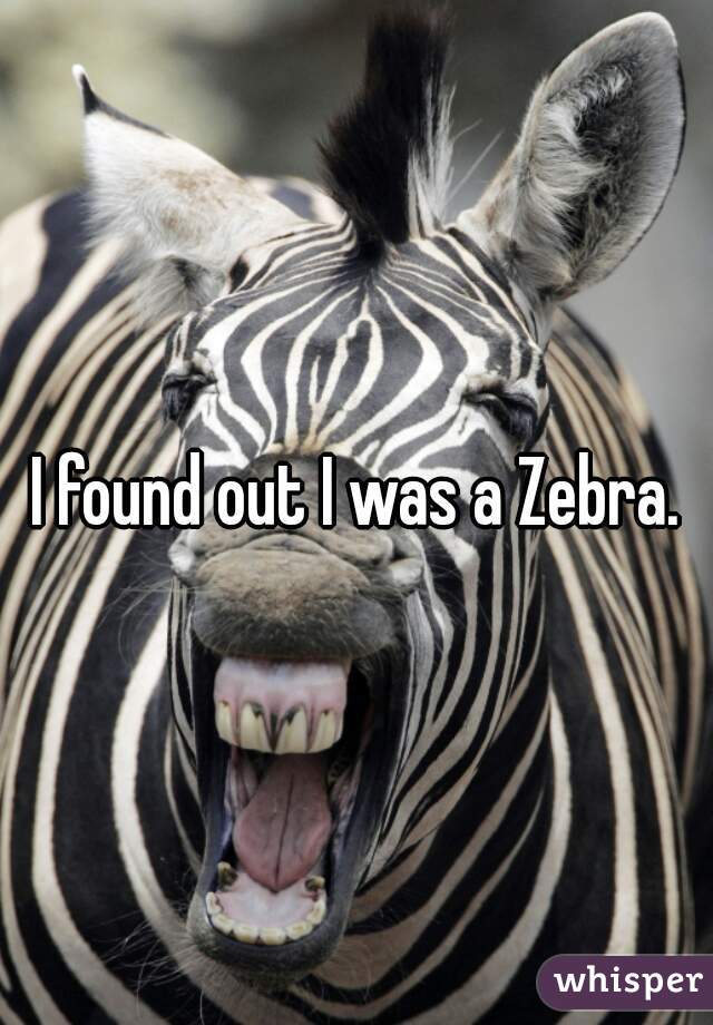 I found out I was a Zebra.