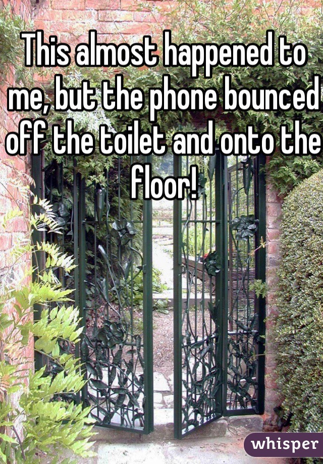 This almost happened to me, but the phone bounced off the toilet and onto the floor!
