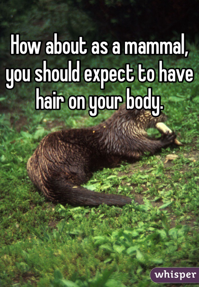 How about as a mammal, you should expect to have hair on your body.