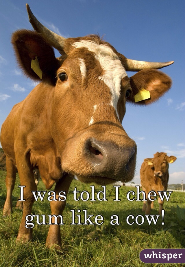 I was told I chew gum like a cow! 