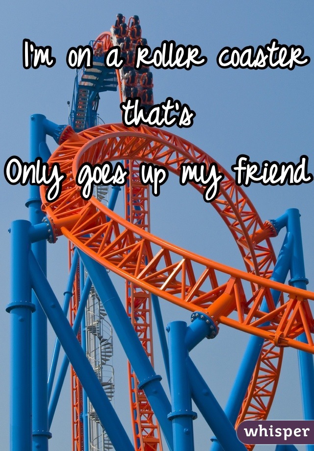  I'm on a roller coaster that's 
Only goes up my friend 
