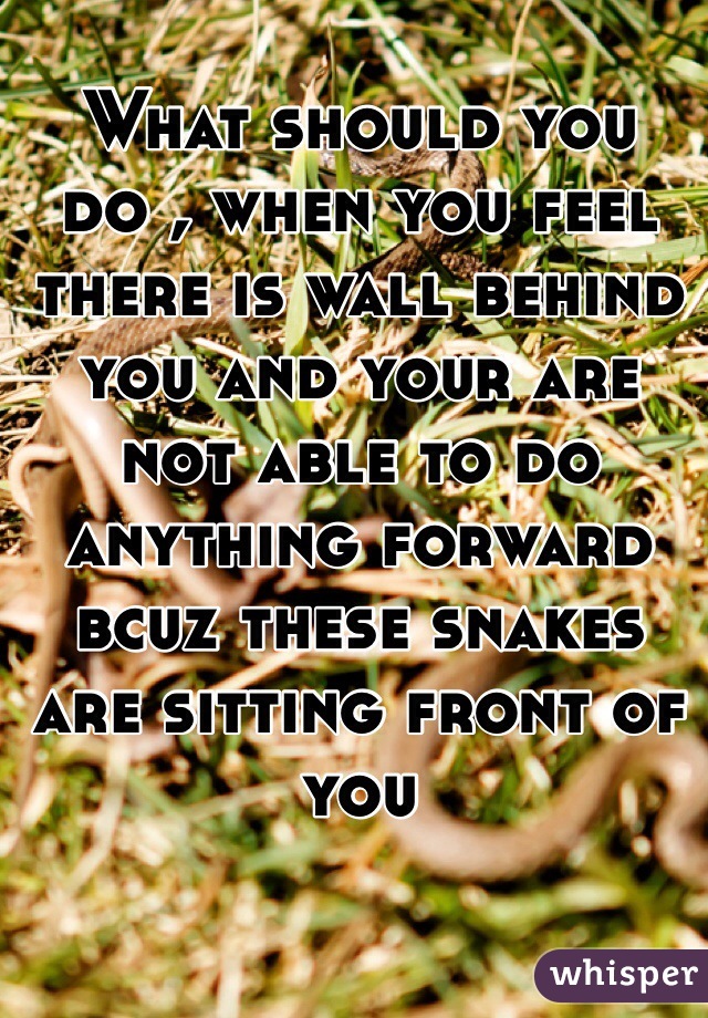 What should you do , when you feel there is wall behind you and your are not able to do anything forward bcuz these snakes are sitting front of you 