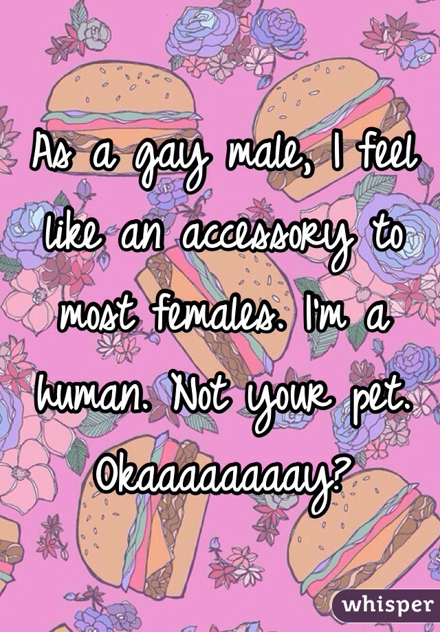 As a gay male, I feel like an accessory to most females. I'm a human. Not your pet. Okaaaaaaaay? 