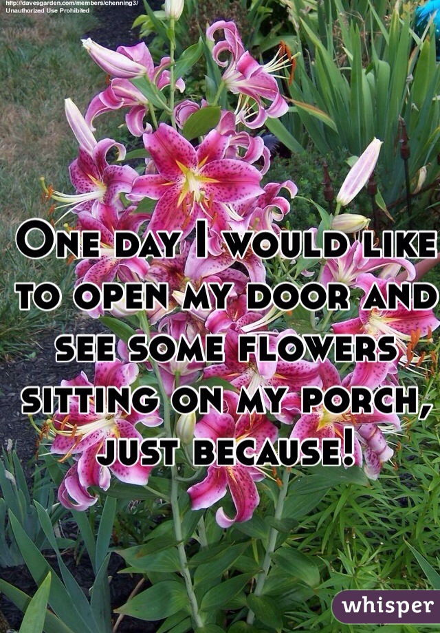 One day I would like to open my door and see some flowers sitting on my porch, just because!