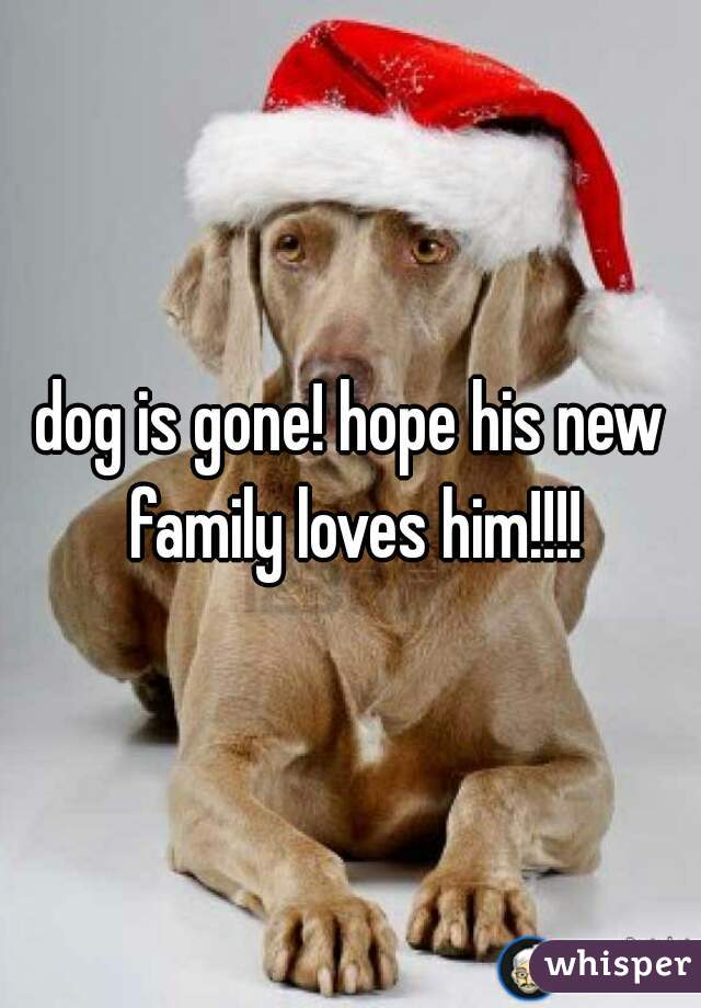 dog is gone! hope his new family loves him!!!!