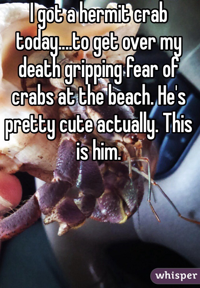 I got a hermit crab today....to get over my death gripping fear of crabs at the beach. He's pretty cute actually. This is him.