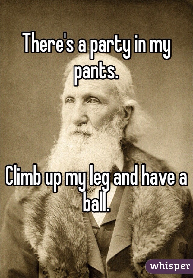 There's a party in my pants. 



Climb up my leg and have a ball. 