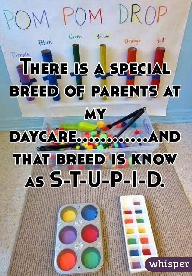 There is a special breed of parents at my daycare............and that breed is know as S-T-U-P-I-D. 