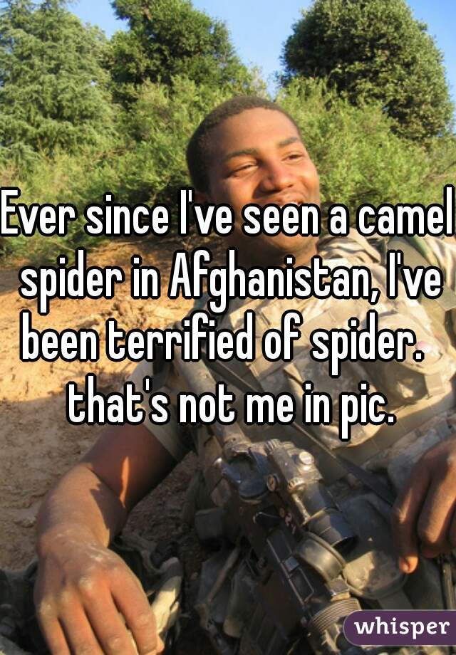 Ever since I've seen a camel spider in Afghanistan, I've been terrified of spider.   that's not me in pic.