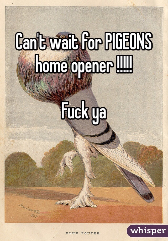 Can't wait for PIGEONS home opener !!!!! 

Fuck ya