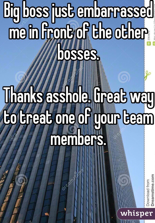 Big boss just embarrassed me in front of the other bosses.

Thanks asshole. Great way to treat one of your team members. 
