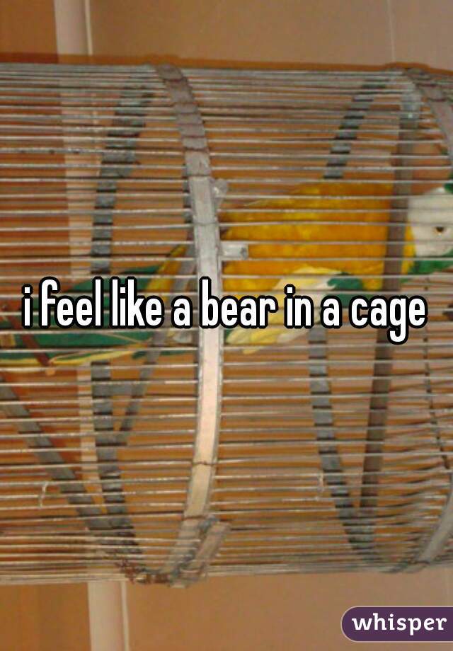 i feel like a bear in a cage