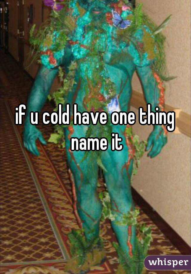 if u cold have one thing name it