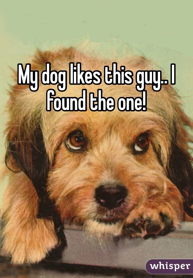 My dog likes this guy.. I found the one! 
