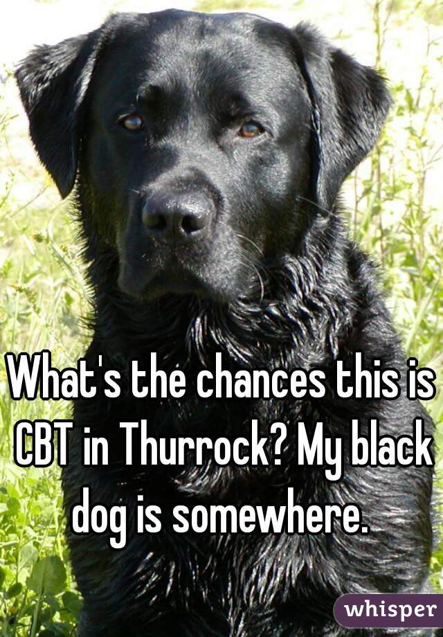 What's the chances this is CBT in Thurrock? My black dog is somewhere. 