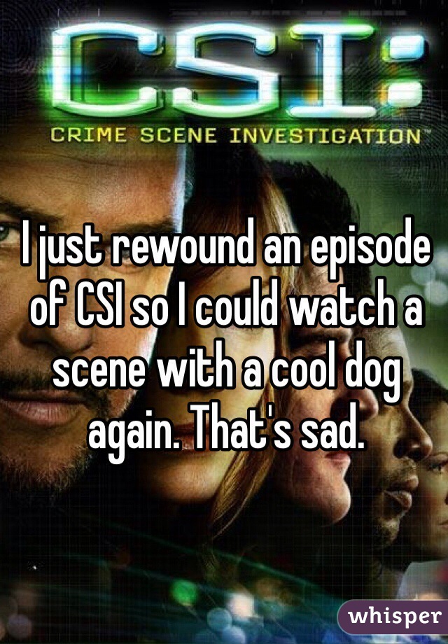 I just rewound an episode of CSI so I could watch a scene with a cool dog again. That's sad. 