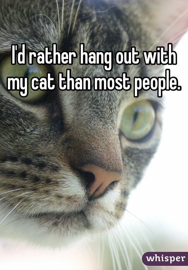 I'd rather hang out with my cat than most people.