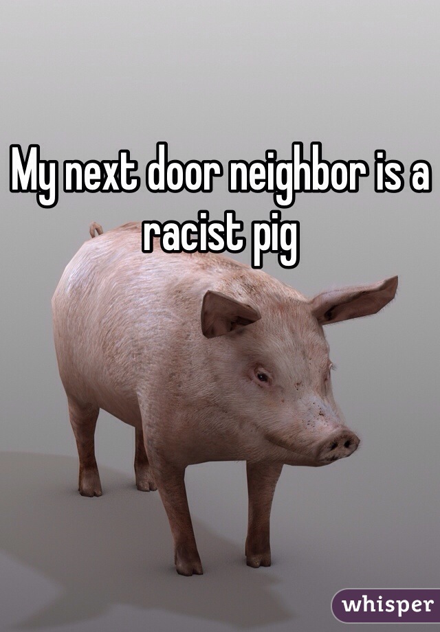 My next door neighbor is a racist pig