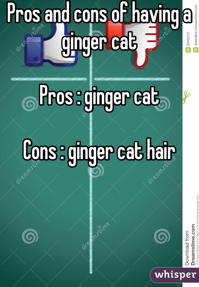 Pros and cons of having a ginger cat 

Pros : ginger cat 

Cons : ginger cat hair 