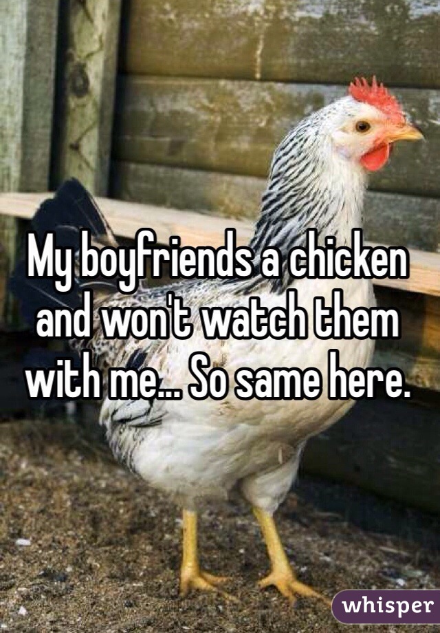 My boyfriends a chicken and won't watch them with me... So same here. 