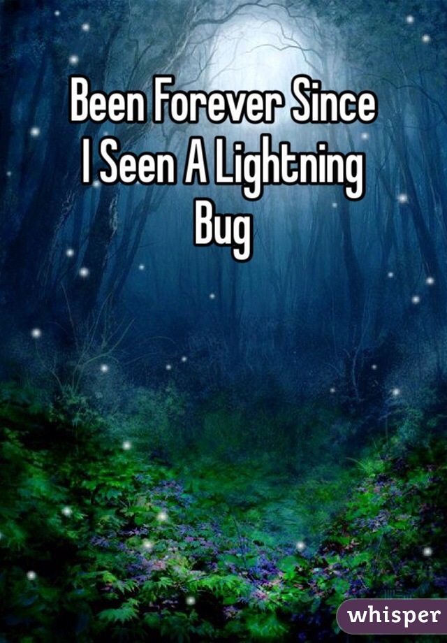 Been Forever Since
I Seen A Lightning
Bug 