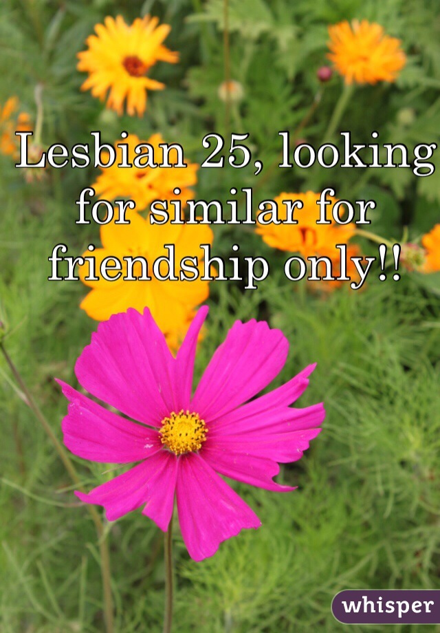 Lesbian 25, looking for similar for friendship only!! 