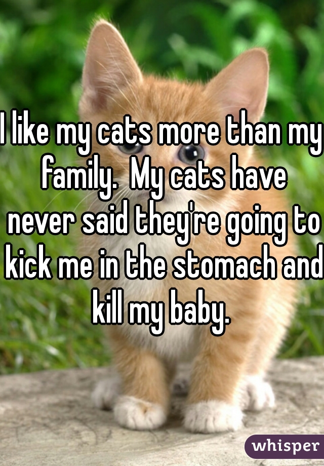 I like my cats more than my family.  My cats have never said they're going to kick me in the stomach and kill my baby. 