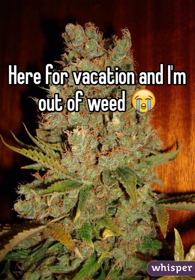 Here for vacation and I'm out of weed 😭